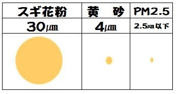 花粉黄砂大きさ比較