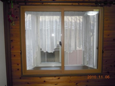 20101118121255_DSCN01701