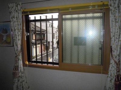 20110720072244_DSCN10551