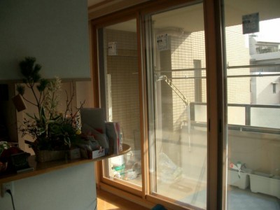 20120119192213_CIMG00231