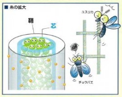 網戸ネット