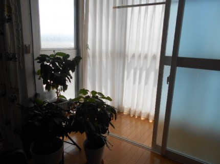 プラマードサンルーム