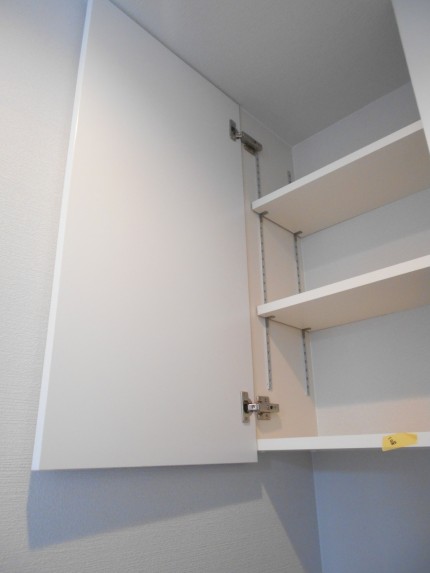 DSCN6700-e1620805800718