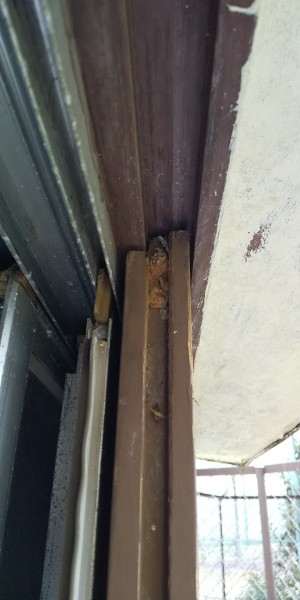 木製雨戸　施工前