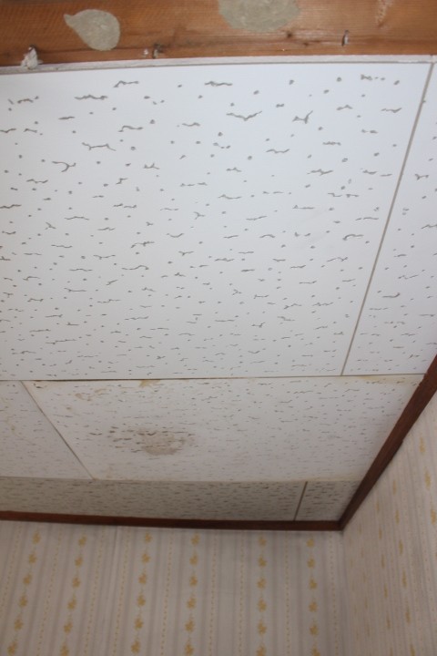 豊中市天井修理６