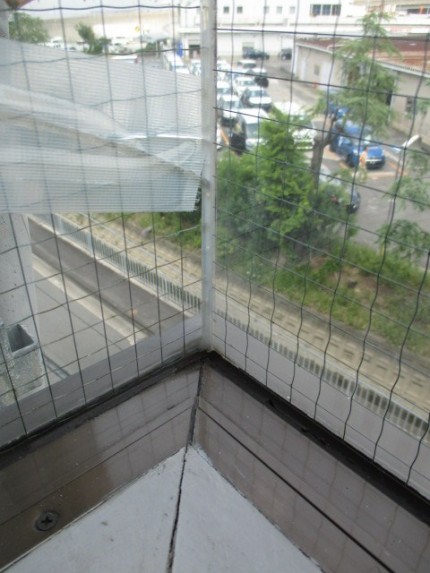 突き合わせガラス