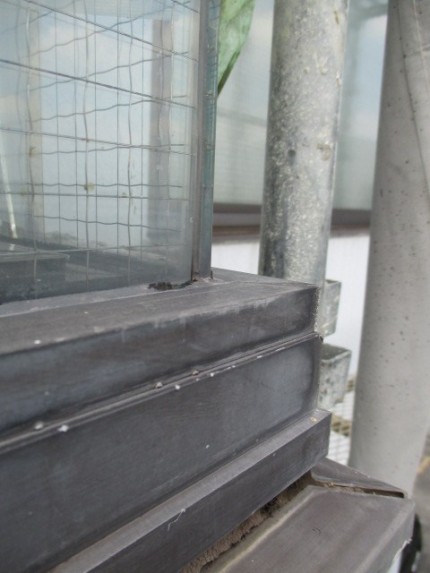 突き合わせガラス