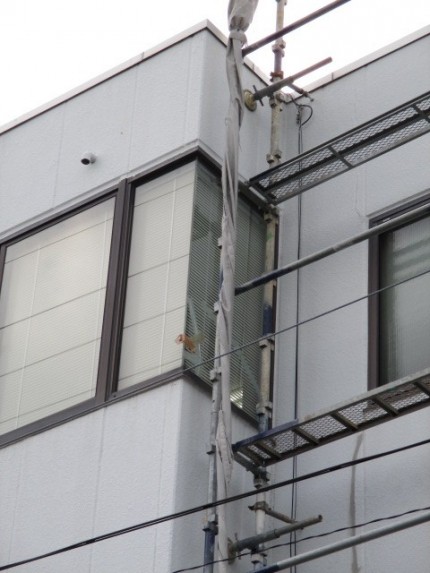 突き合わせガラス