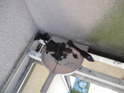 バルコニー　デッキ材