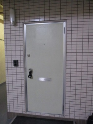 アルミフラッシュドア