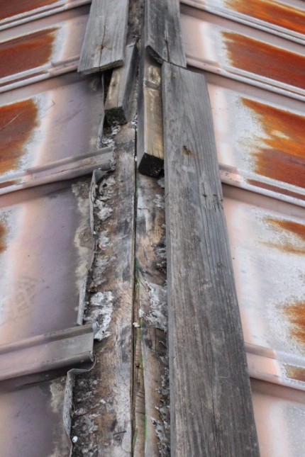 吹田市棟包み修理６