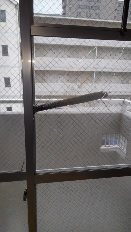 台風21号硝子被害