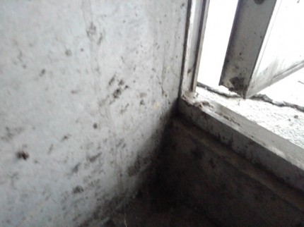 勝手口　既存枠2