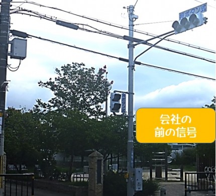会社の前信号