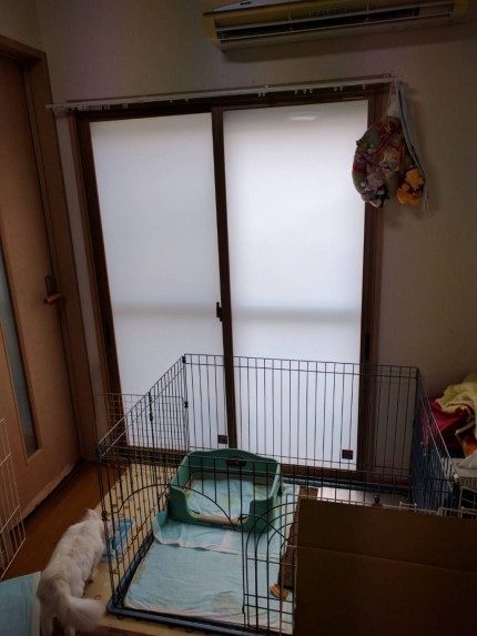 内窓　プラマードＵ　ペアガラス　断熱工事　防音工事