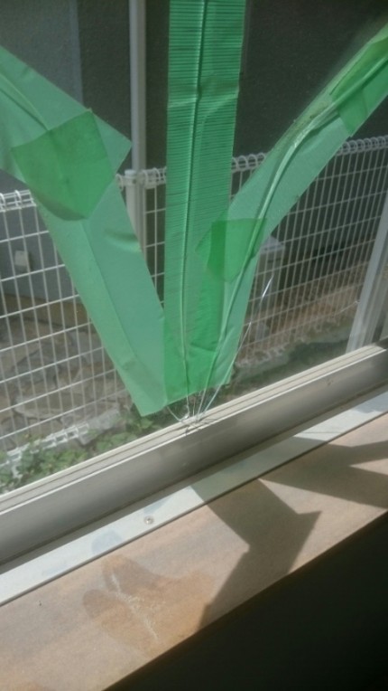 ガラス割れ替え作業