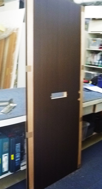 ポスト口付ドア